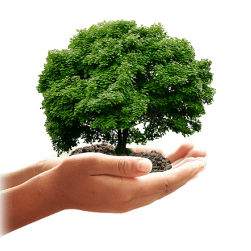 Chế độ ECO